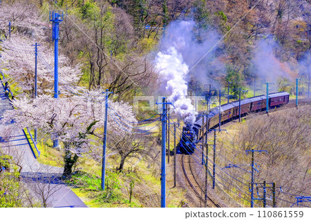 A steam locomotive running through the mountains where cherry blossoms bloom 110861559