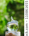 Apple in a glass reflecting green leaves 110861655