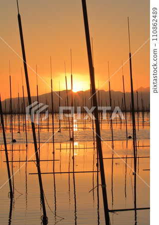 A view of the Ariake Sea at dusk, when seaweed farming nets are dyed madder red. A view of the Ariake Sea at dusk, when seaweed farming nets are dyed madder red. 110862489