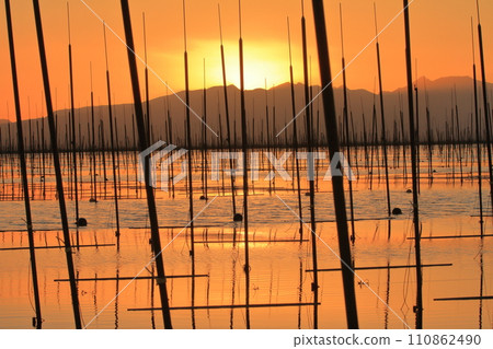 Beautiful evening view of the Ariake Sea with countless nori cultivation pillars 110862490