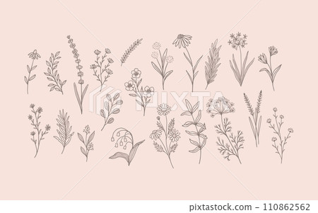 Hand drawn flower series 110862562