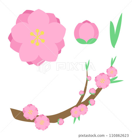 peach blossom set 110862623