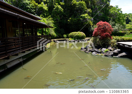 Nishiyama Goten (Nishiyamaso) 2023-5-3 #89 Nishiyama Goten (Nishiyamaso) 2023-5-3 #89 110863365