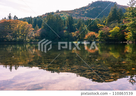 Autumn trees and pond on a sunny day 110863539