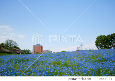 [愛知縣] 日新市愛知農場的睡蓮 110864075