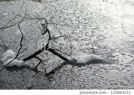 Winter pond 110864251