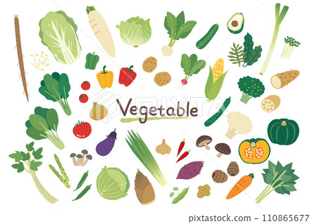 各種蔬菜的插圖集 各種蔬菜的插圖集 110865677