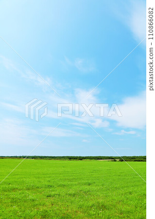 Hokkaido summer blue sky and fresh green meadow scenery 110866082