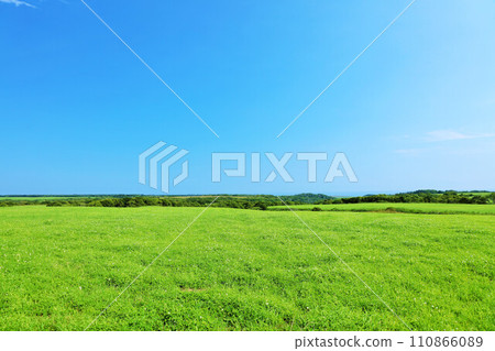 Hokkaido summer blue sky and fresh green meadow scenery 110866089