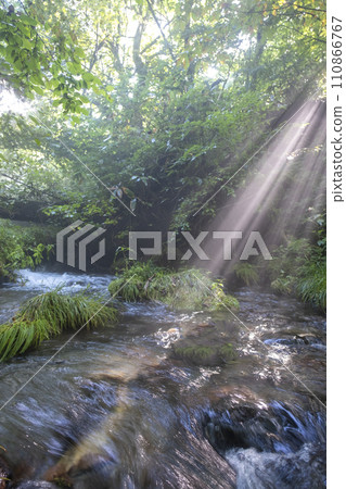 Fresh greenery and clear stream eco-image Oyama Kiyazawa Stream 110866767