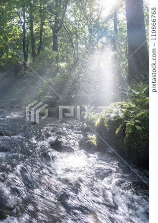 Fresh greenery and clear stream eco-image Oyama Kiyazawa Stream 110866768