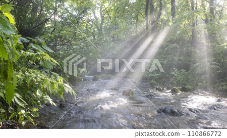 Fresh greenery and clear stream eco-image Oyama Kiyazawa Stream Fresh greenery and clear stream eco-image Oyama Kiyazawa Stream 110866772