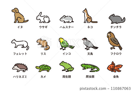 pet icon animal pet icon animal 110867063