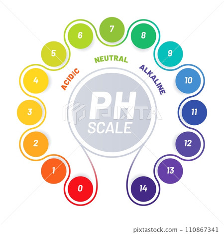 PH scale of food acid balance, chart with indicators of acidic, neutral and alkaline values, vector test. Food and water chemical, analysis scale of PH with spectrum colors table for acidity balance 110867341
