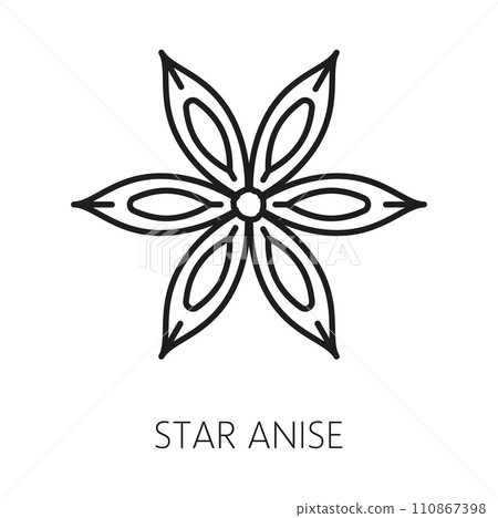 Anise star aroma seasoning, spicy condiment outline icon. Vector chinese star anise or badian, dried star-shaped staranise with seeds, aniseed spice Anise star aroma seasoning, spicy condiment outline icon. Vector chinese star anise or badian, dried star-shaped staranise with seeds, aniseed spice 110867398