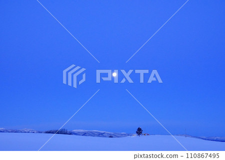Snowy field and moon before dawn Snowy field and moon before dawn 110867495