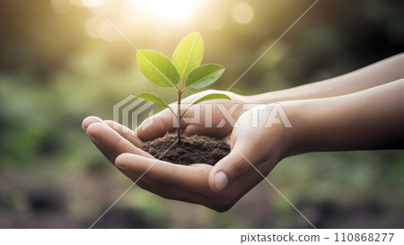 hands holding soil with green sprout, finance, new business start-up concept, neural network generated image hands holding soil with green sprout, finance, new business start-up concept, neural network generated image 110868277