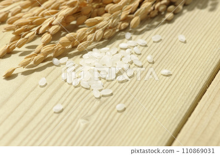稻穗、米、新米 110869031