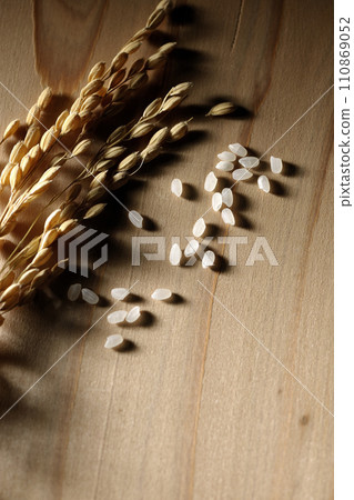 Ears of rice, rice, new rice Ears of rice, rice, new rice 110869052