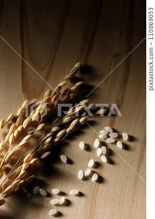 Ears of rice, rice, new rice Ears of rice, rice, new rice 110869053