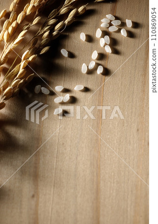 Ears of rice, rice, new rice Ears of rice, rice, new rice 110869054