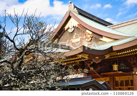 湯島天滿宮的梅花 湯島天滿宮的梅花 110869126
