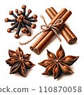 Assorted Spices Illustration with Cinnamon, cloves and Star Anise	 110870058