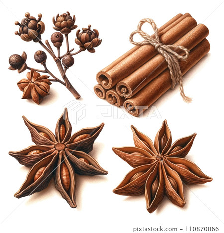 Assorted Spices Illustration with Cinnamon, cloves and Star Anise Assorted Spices Illustration with Cinnamon, cloves and Star Anise 110870066