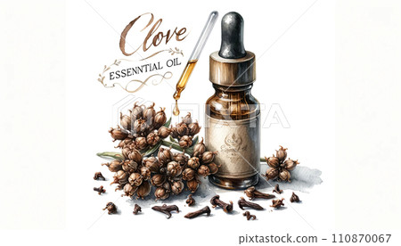 Clove Essential Oil Dropper and Bottle Illustration Clove Essential Oil Dropper and Bottle Illustration 110870067