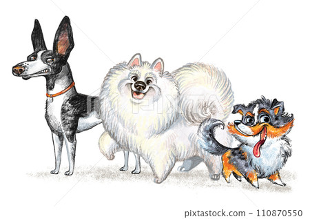Cute character three funny cartoon different dogs isolated illustration 110870550