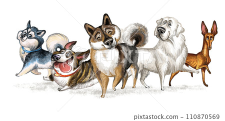 Cute character group of funny cartoon different dogs isolated illustration 110870569