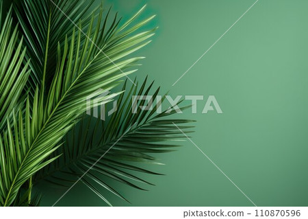 Palm and green background material 01 Palm and green background material 01 110870596