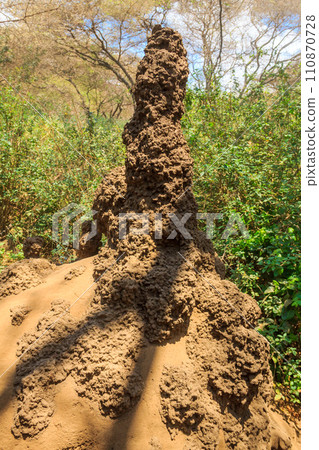Termite mound in Lake Manyara National Park in Tanzania 110870728