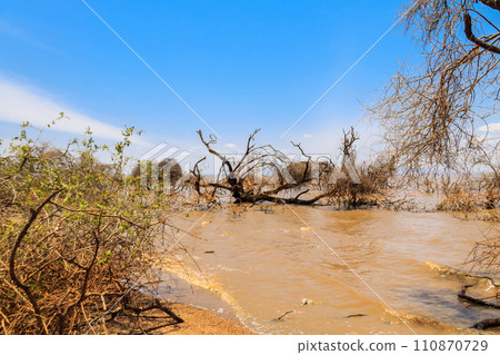 View of Lake Manyara National Park in Tanzania 110870729
