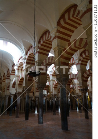 梅斯基塔柱森林 110871133