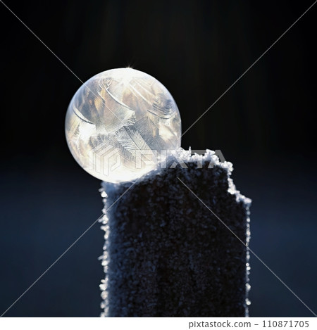 Frozen bubble in nature. A beautiful macro shot of nature in winter. Concept for environment, water and frost. Frozen bubble in nature. A beautiful macro shot of nature in winter. Concept for environment, water and frost. 110871705