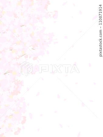 蓬鬆的櫻花 蓬鬆的櫻花 110871914