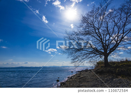 Lake Biwa shore in northern Otsu City 110872584