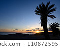 Palm trees and sunset seaside 110872595