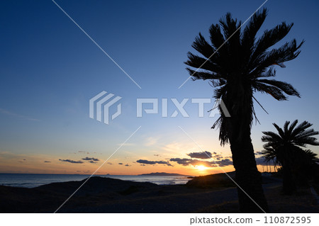 Palm trees and sunset seaside Palm trees and sunset seaside 110872595