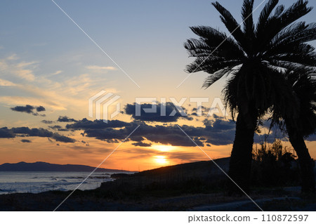 Palm trees and sunset seaside 110872597