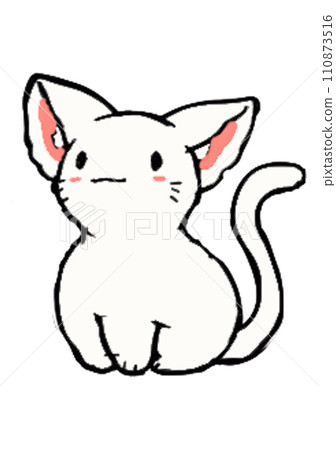 white kitten 110873516