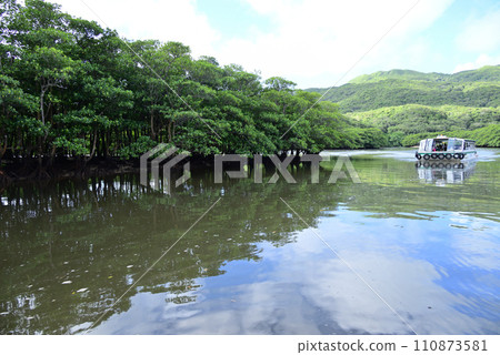 西表島仲間川紅樹林遊船 西表島仲間川紅樹林遊船 110873581