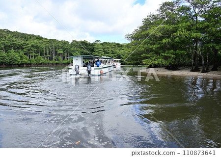 Iriomote Island Nakama River Mangrove Cruise Ship Iriomote Island Nakama River Mangrove Cruise Ship 110873641