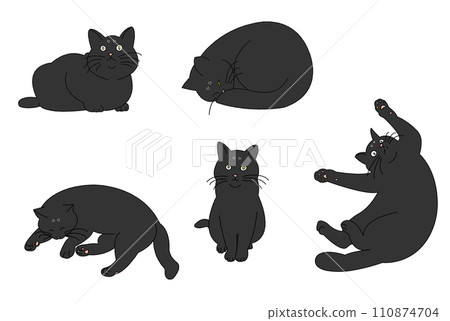 Cats in various poses (black cat) Cats in various poses (black cat) 110874704