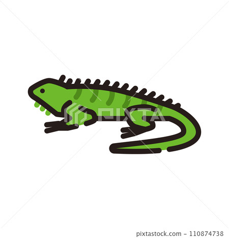 Iguana illustration 110874738