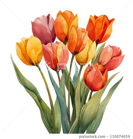 cute watercolor tulip bouquet isolated 110874859