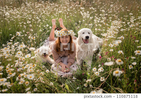 Woman dogs meadow chamomile. Woman embraces her furry friends in a serene chamomile field, surrounded by lush greenery. A heartwarming display of love and companionship between a woman and her dog. 110875118