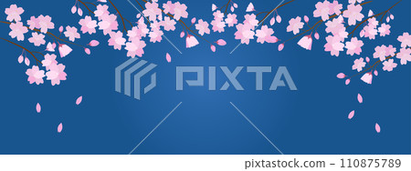 Japanese-style banner of falling cherry blossoms in full bloom at night with a blue background 110875789