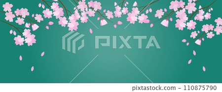 Banner of Japanese-style falling cherry blossoms in full bloom with green background Banner of Japanese-style falling cherry blossoms in full bloom with green background 110875790